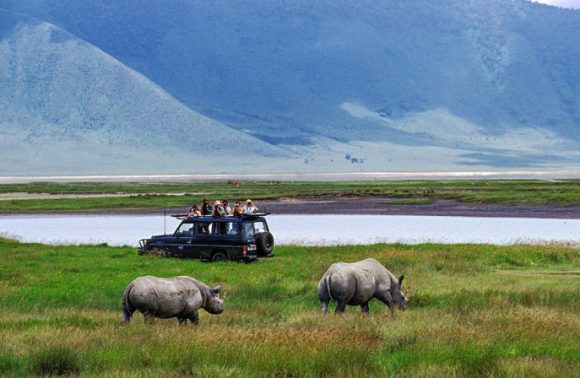 3 Days Private Safari – Serengeti and Ngorongoro Crater 2023