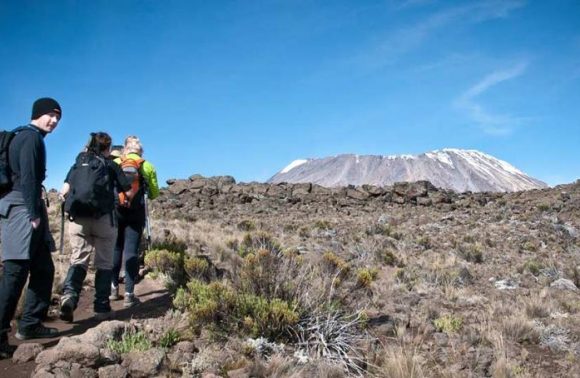8 Days  Climb The Rongai Route (Mt Kilimanjaro) 2023/24