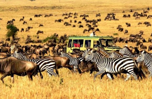 4 Days Lake Manyara – Serengeti – Ngorongoro Safari Lodge 2023