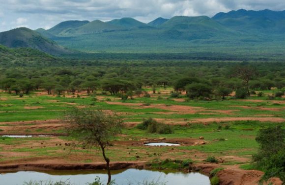 4 Days Tsavo West & Amboseli Camping Safari Tour 2023