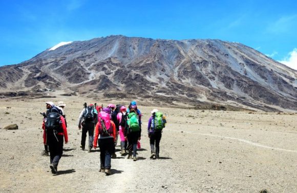7 Days Mt Kilimanjaro Climbing: Umbwe Route 2023