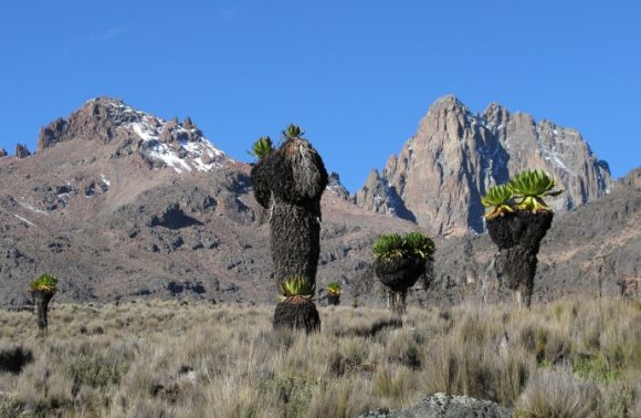 5 Days Mt Kenya Climbing: Sirimon – Chogoria Route 2023