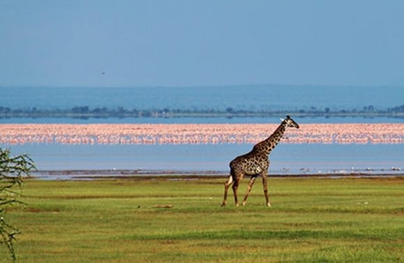 3 Days – Lake Manyara, Ngorongoro Crater and Tarangire 2023
