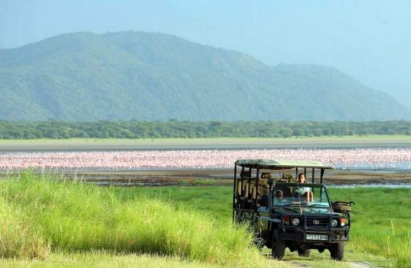3 Days – Lake Manyara, Ngorongoro Crater and Tarangire Camping 2023