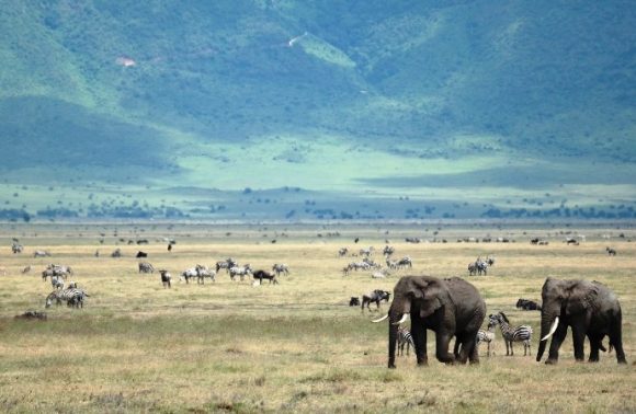 3 Days Ngorongoro Crater Lodge Luxury Safari 2023